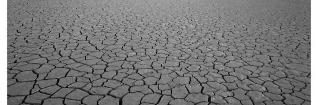 DESERT RECORDS banner