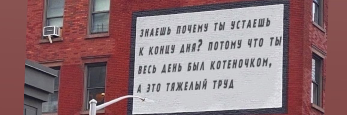 Настя Просеккова banner
