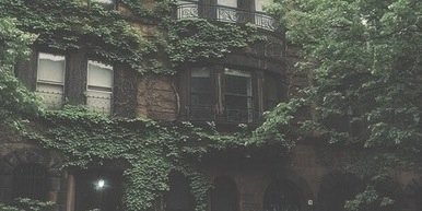 UtterlyInscne's profile banner image