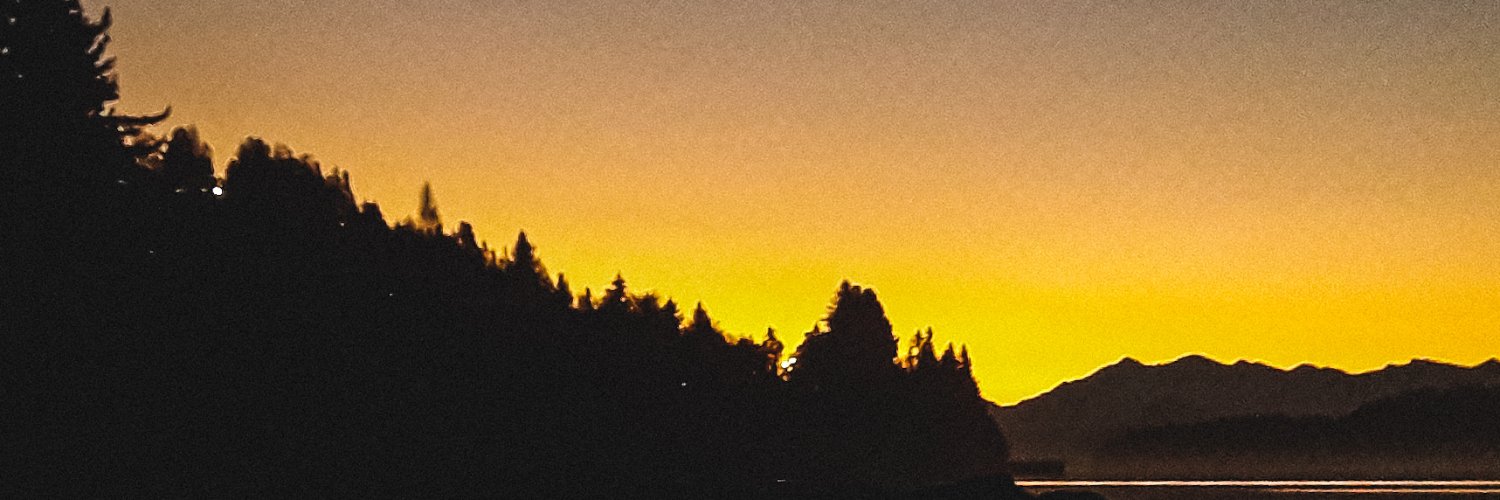 licoress's profile banner image