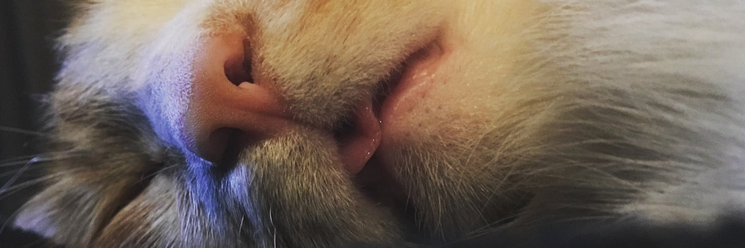 KMMarang's profile banner image