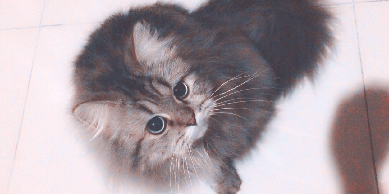 marwahdil's profile banner image