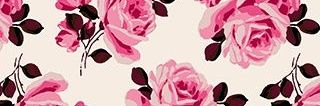 DeannaLaver's profile banner image