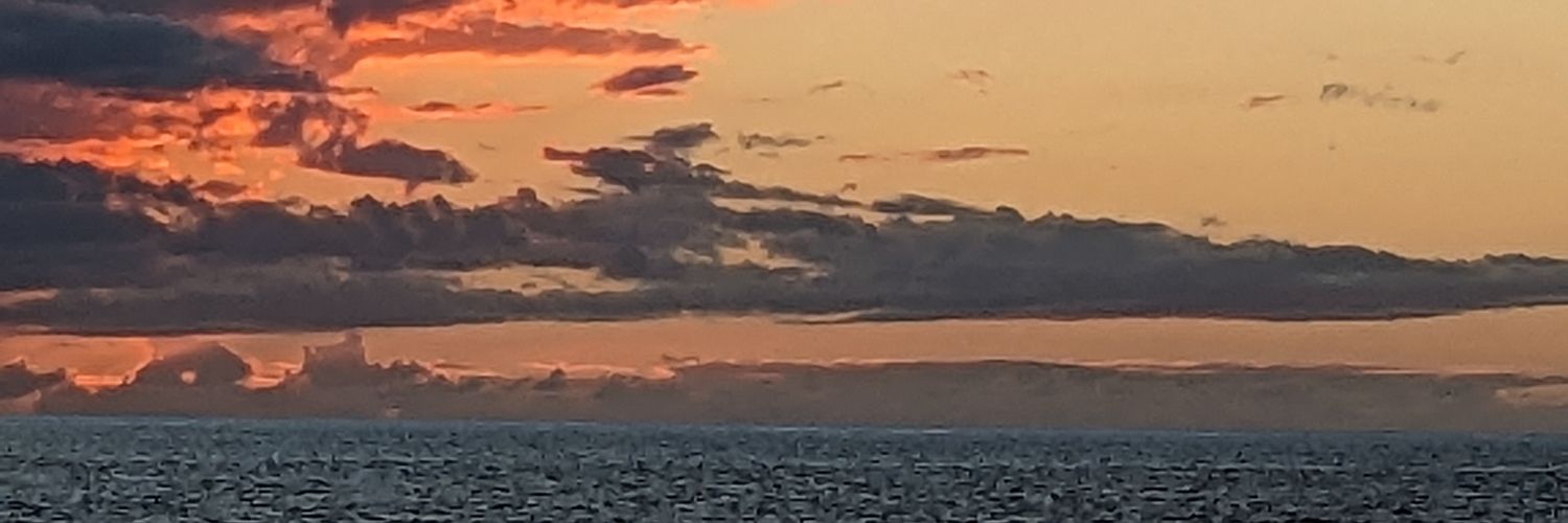 saroyin's profile banner image