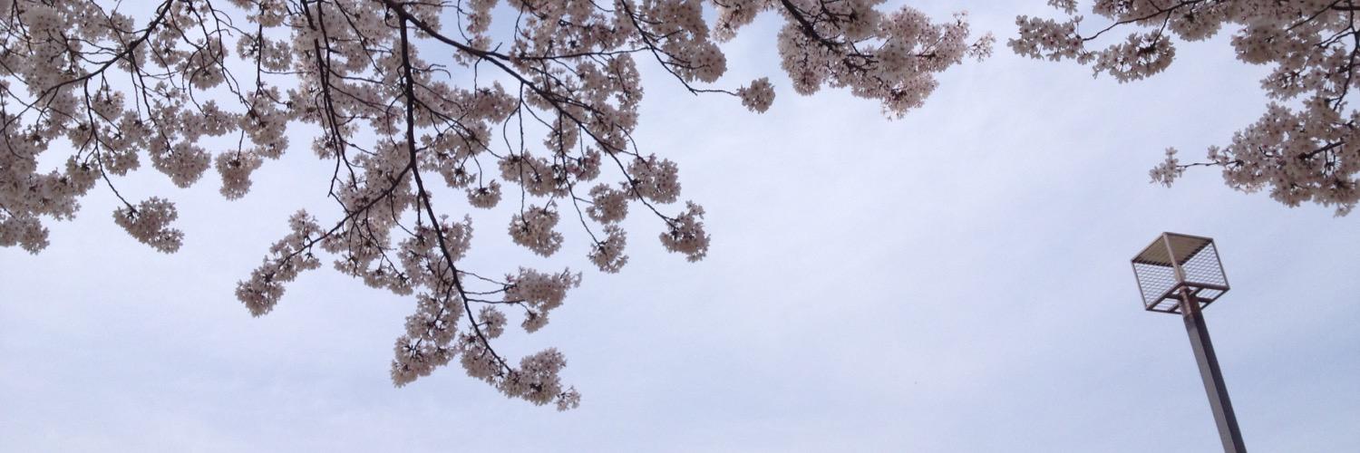 Ariki_Ka's profile banner image