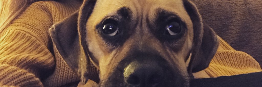 JadeeeSharples's profile banner image