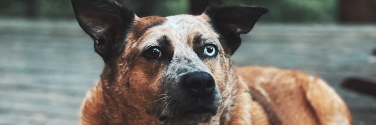 RomeiroMiranda's profile banner image