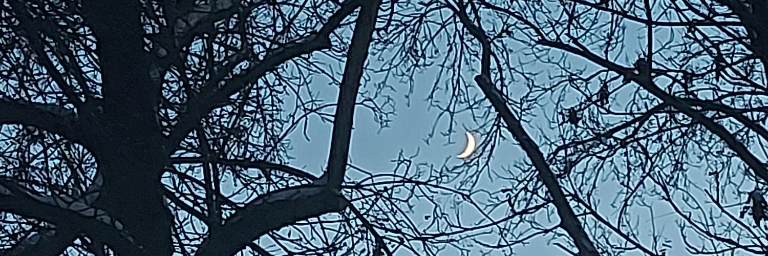 Jacqueline Dowsey banner