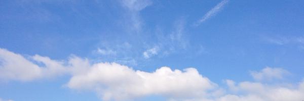 SecondNature_ Profile Banner