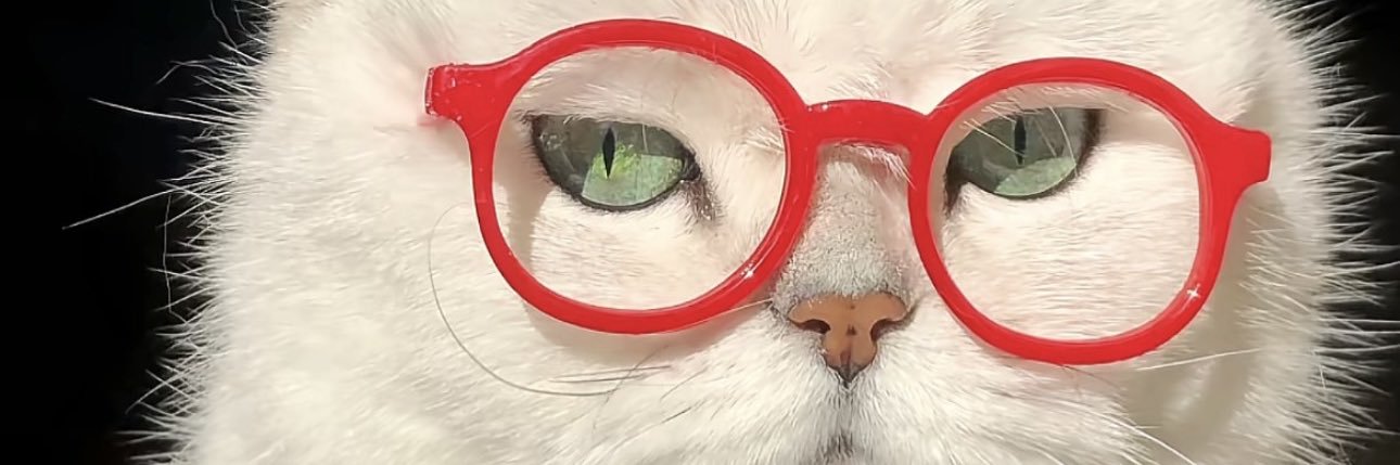 pammJr's profile banner image