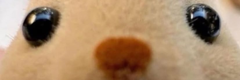 aliicezZz's profile banner image