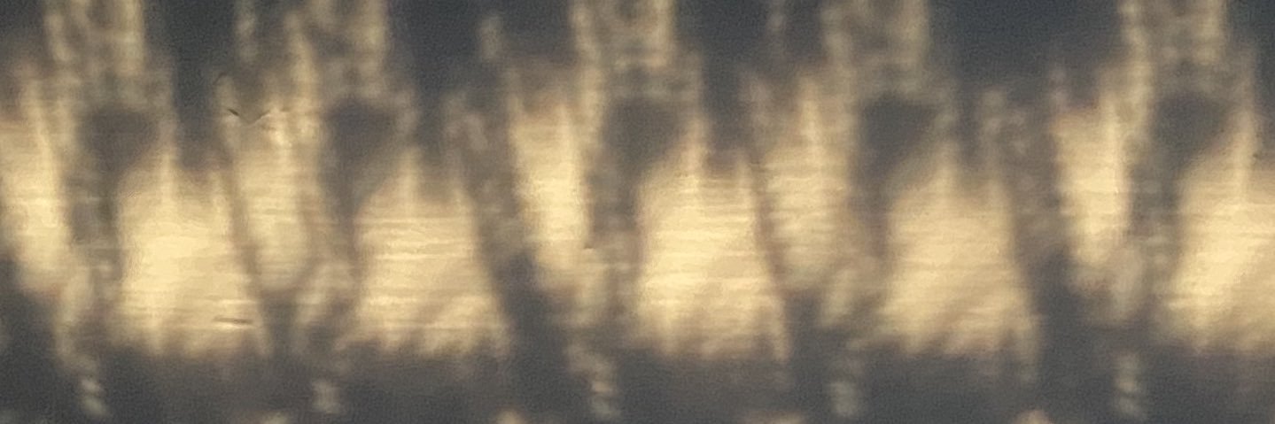 coolchillgrl's profile banner image