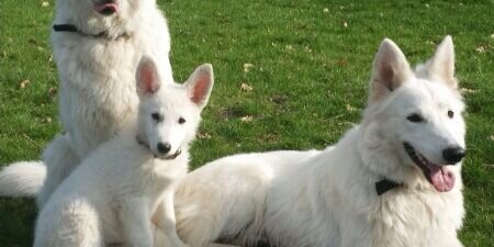 nanne_n's profile banner image