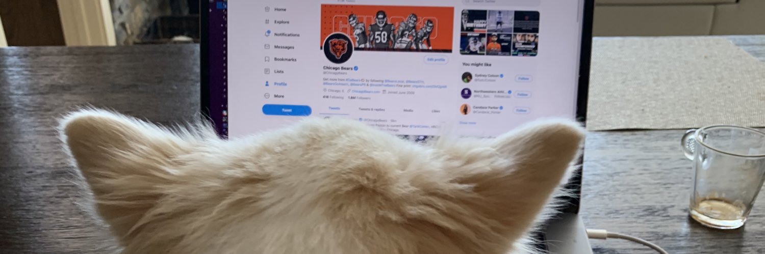 ncabral9's profile banner image
