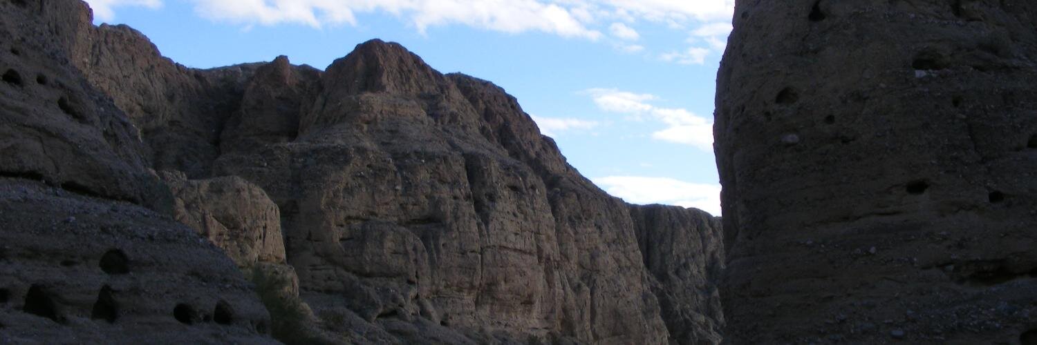 Laura Fattaruso banner