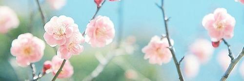 khoiro_25's profile banner image