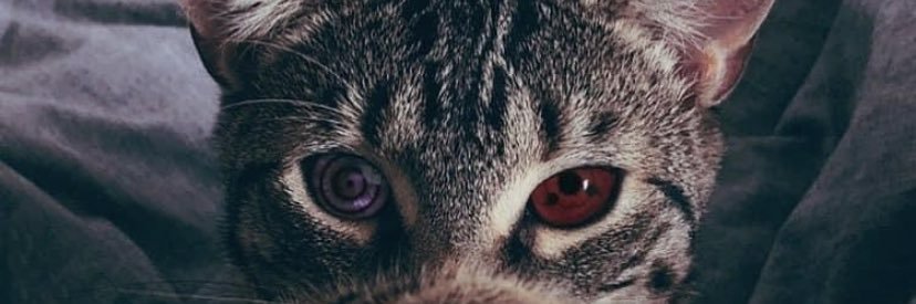 mbrooks1111's profile banner image