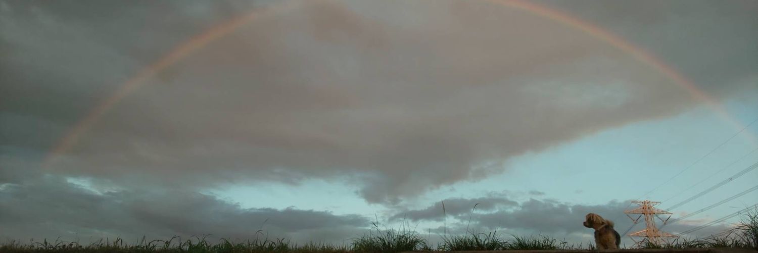 boke_charo's profile banner image