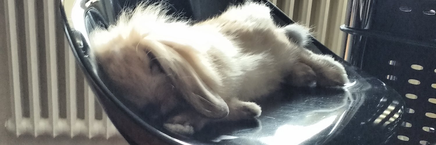 Flow 🇫🇷 banner