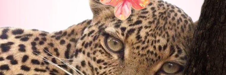 mco0131's profile banner image