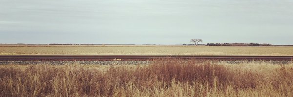 bgrynol Profile Banner