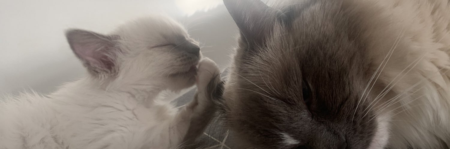 leannehxx's profile banner image