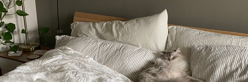 breannawelsh's profile banner image