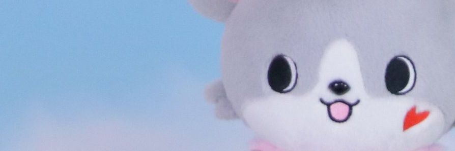 o445445o's profile banner image