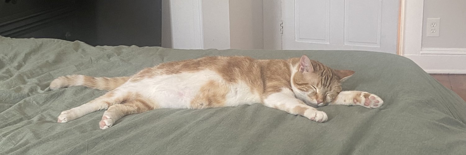yaboipoon's profile banner image