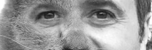 ELMIRK's profile banner image