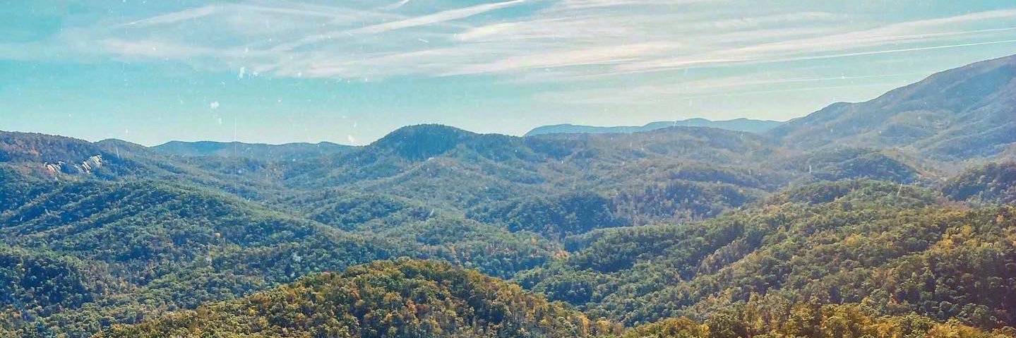 ya_alyson's profile banner image