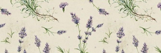 simplysqm's profile banner image