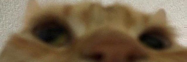 Spoopy_Boyz's profile banner image