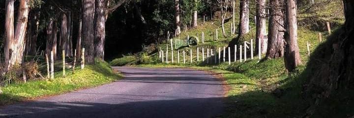 carrero133's profile banner image