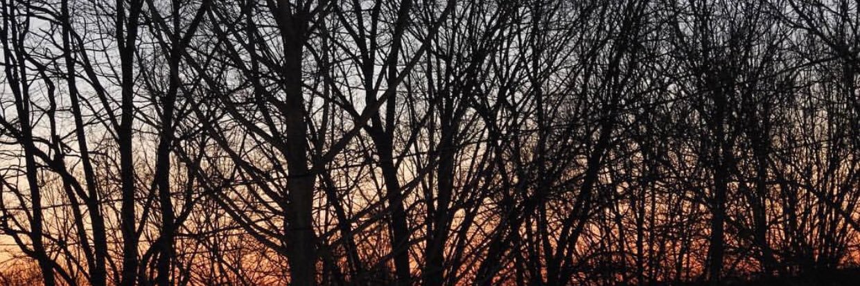 laurthorx's profile banner image