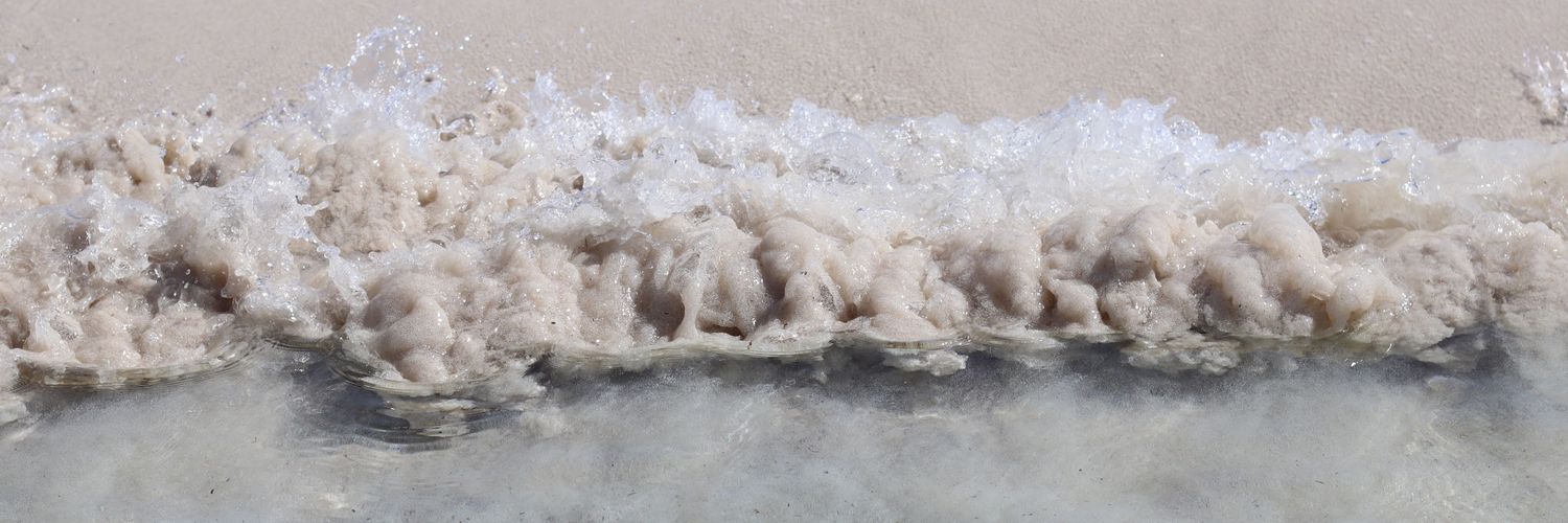 Berta Mundó Fontdeglòria banner