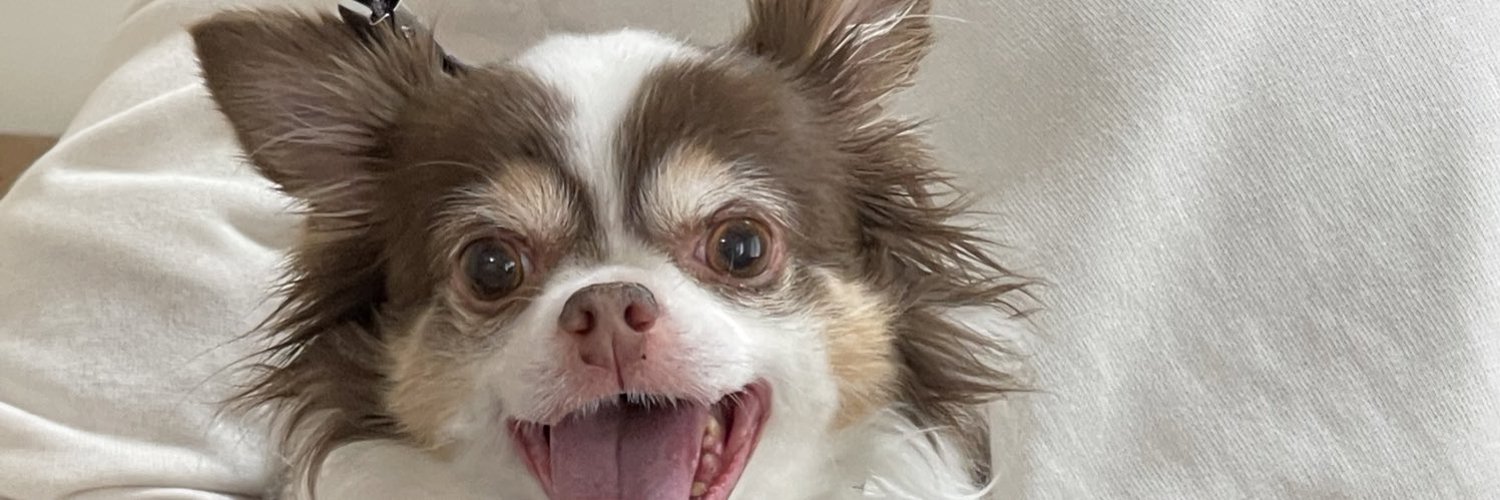 やんろんちゃ@Monaca banner