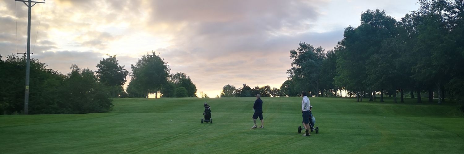 thebossefc's profile banner image