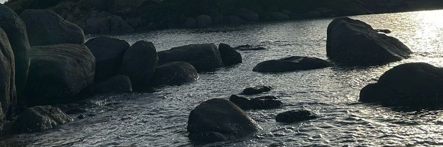 _jadehellen's profile banner image
