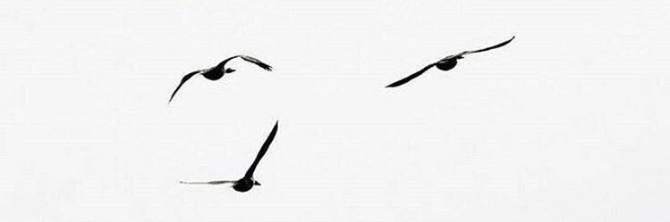btt934's profile banner image