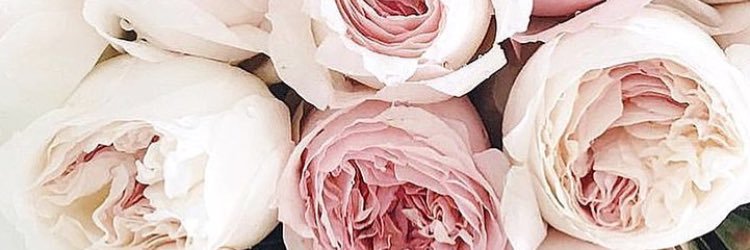 K_Nestt's profile banner image