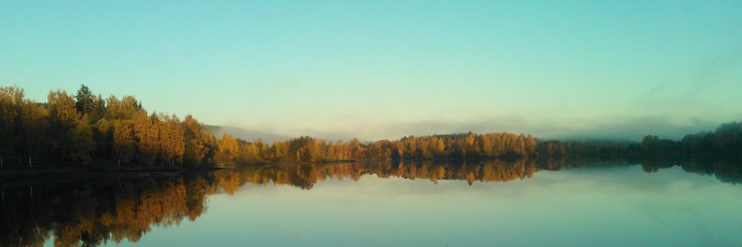 Cochrane Work banner