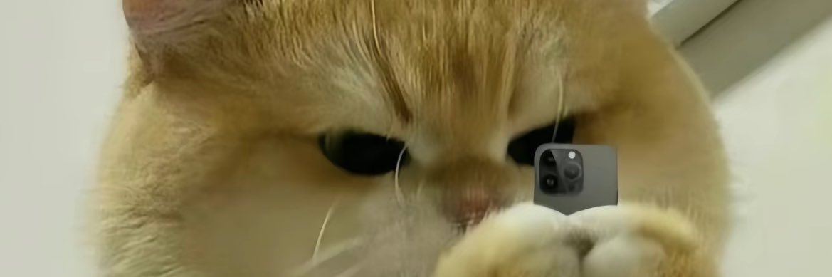 ZuoluoX's profile banner image