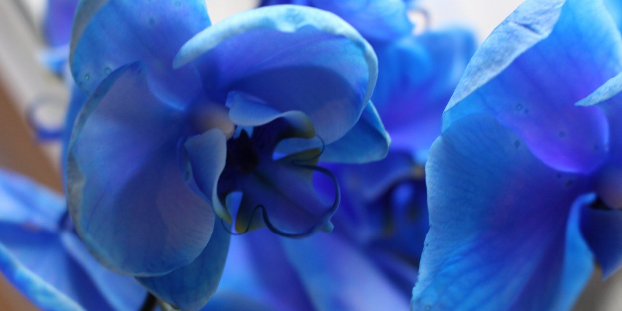 agurkis's profile banner image