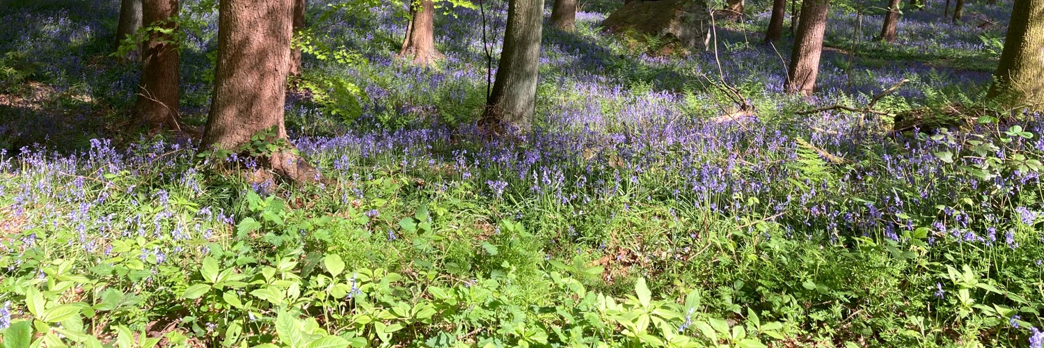 Ms Featherstone banner