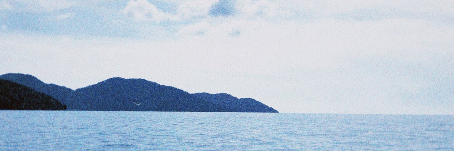 whynotarina's profile banner image