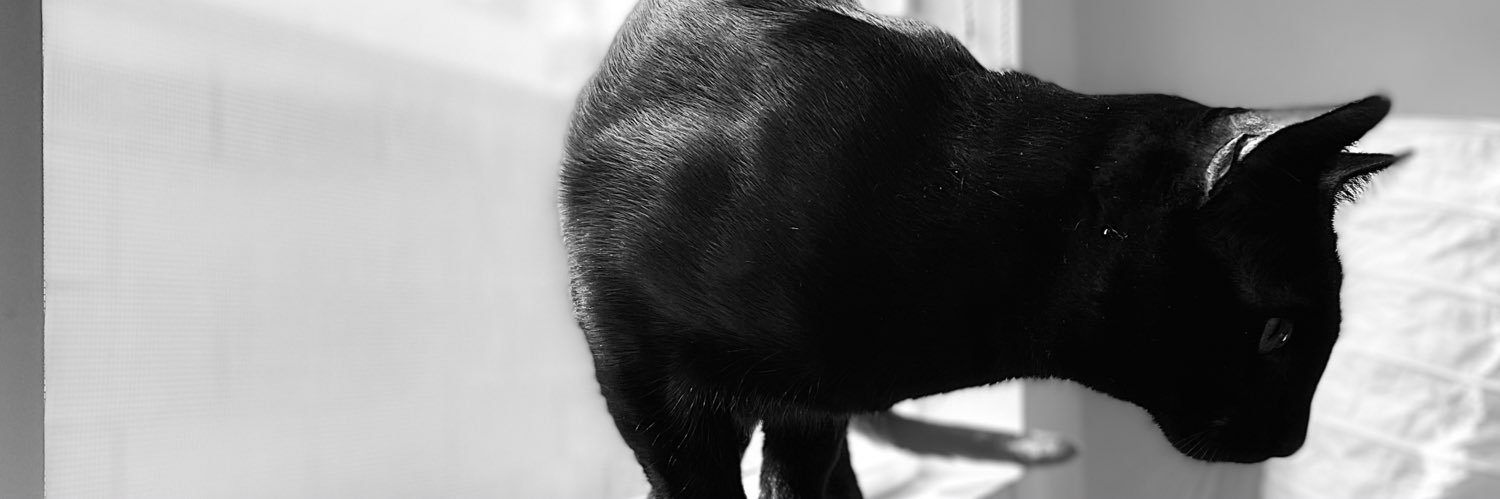 stpa87's profile banner image