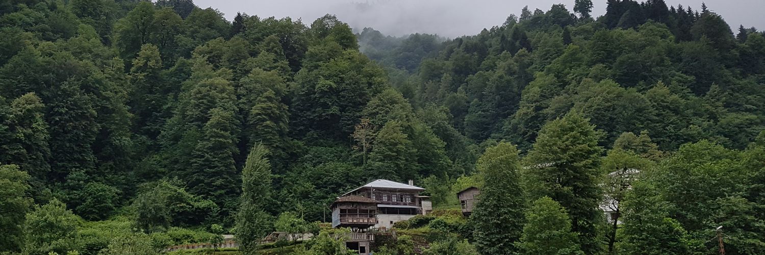 ersenardic's profile banner image