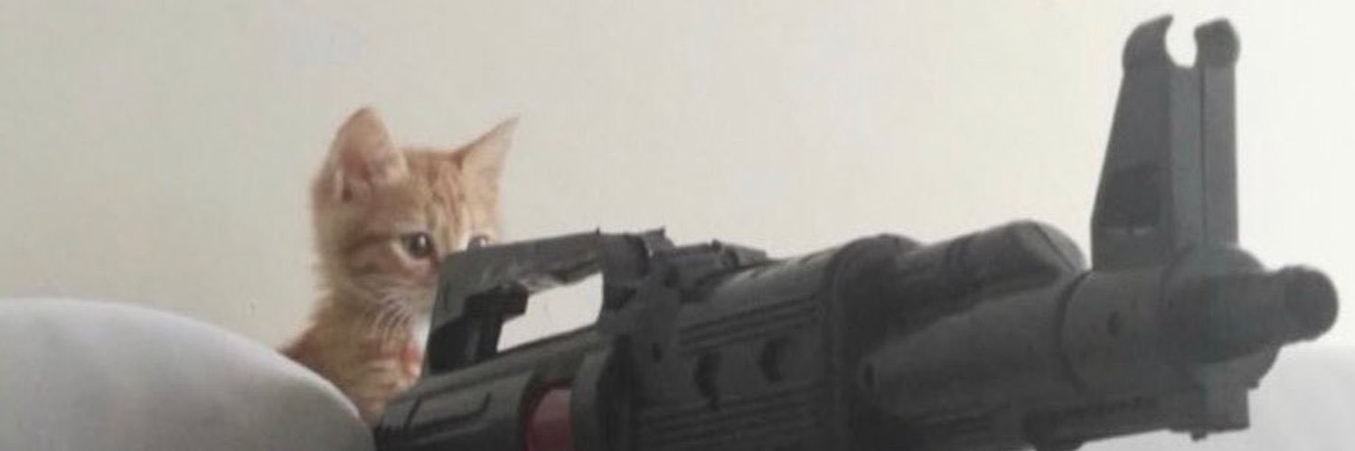 wolfiecindyt's profile banner image