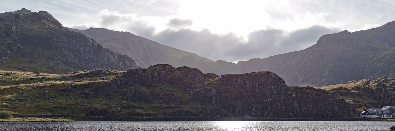 Sabine Jacques banner